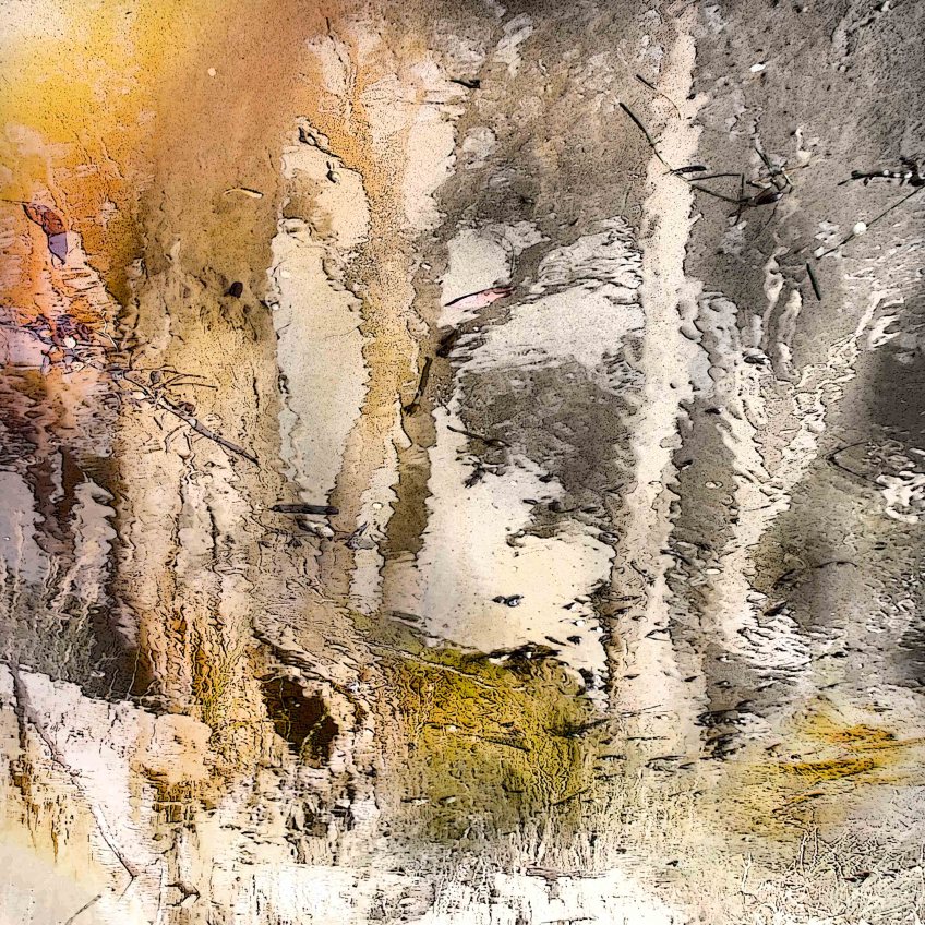 'Reflection in shore water' - 25 x 25 cm first exhibited Lumeah Gallery, July 1, 2005